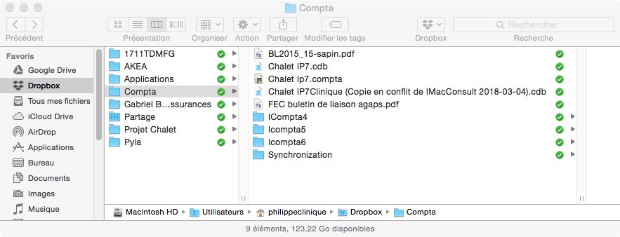 fichiers dans dropbox.jpg