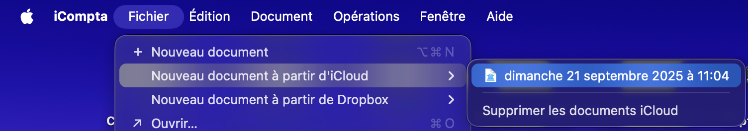 Capture d’écran 2025-09-21 à 11.04.57.png